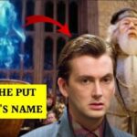 Who Put Harry's Name in the Goblet of Fire