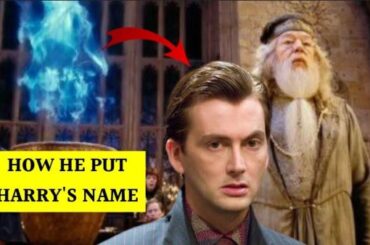 Who Put Harry's Name in the Goblet of Fire